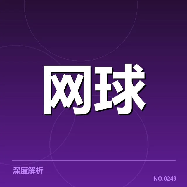 红土赛季技术特点背后，专业战术布局与选手应变能力的深度探究 | 6686app